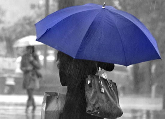 ����� ����� - ��������