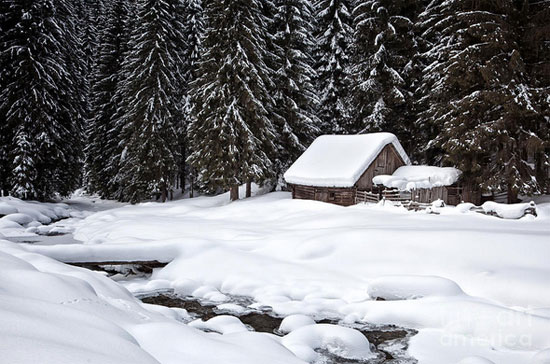 ������ ��� - ��������