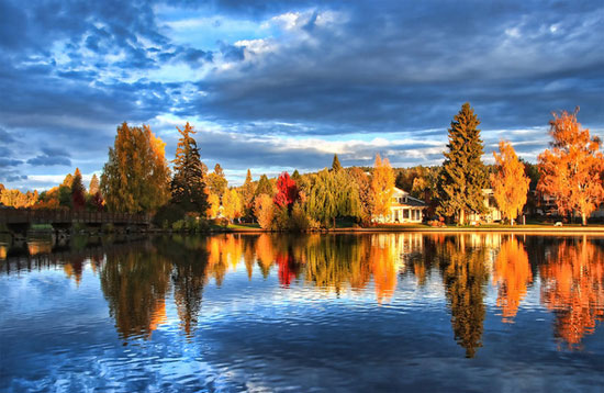 �����. ���������. - ��������