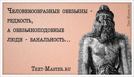 ���������������� �������� - ��������... - ��������