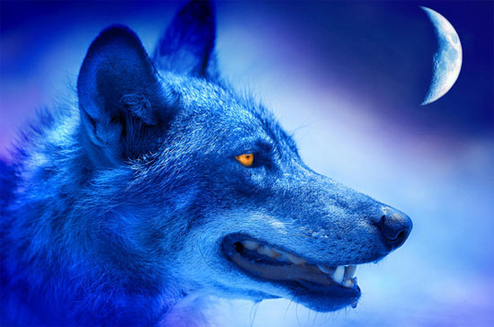 ���� �����-����� - ��������.