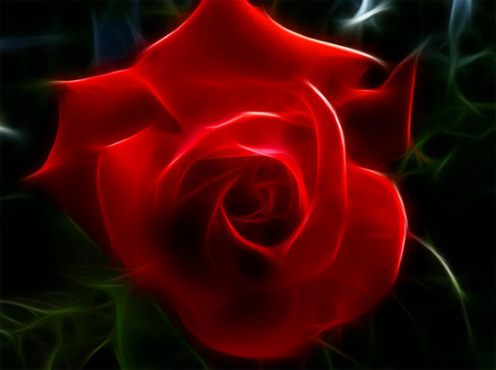 ������������� ���� - ��������