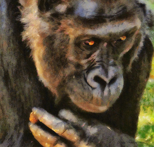 ���������� ������� - ��������