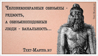 ���������������� �������� - ��������...