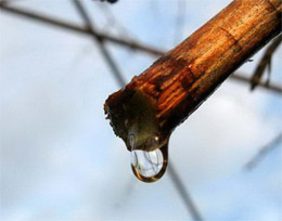 30 марта — Алексей Теплый