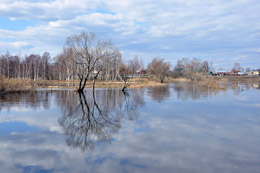 14 апреля - Марья Пустые щи