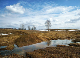 25 апреля - Василий Парильщик